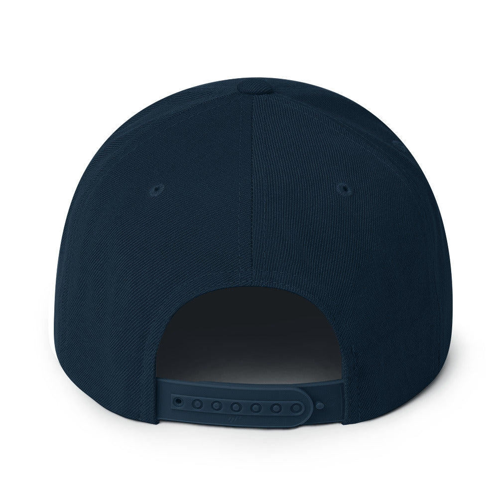 Cougars Snapback Hat