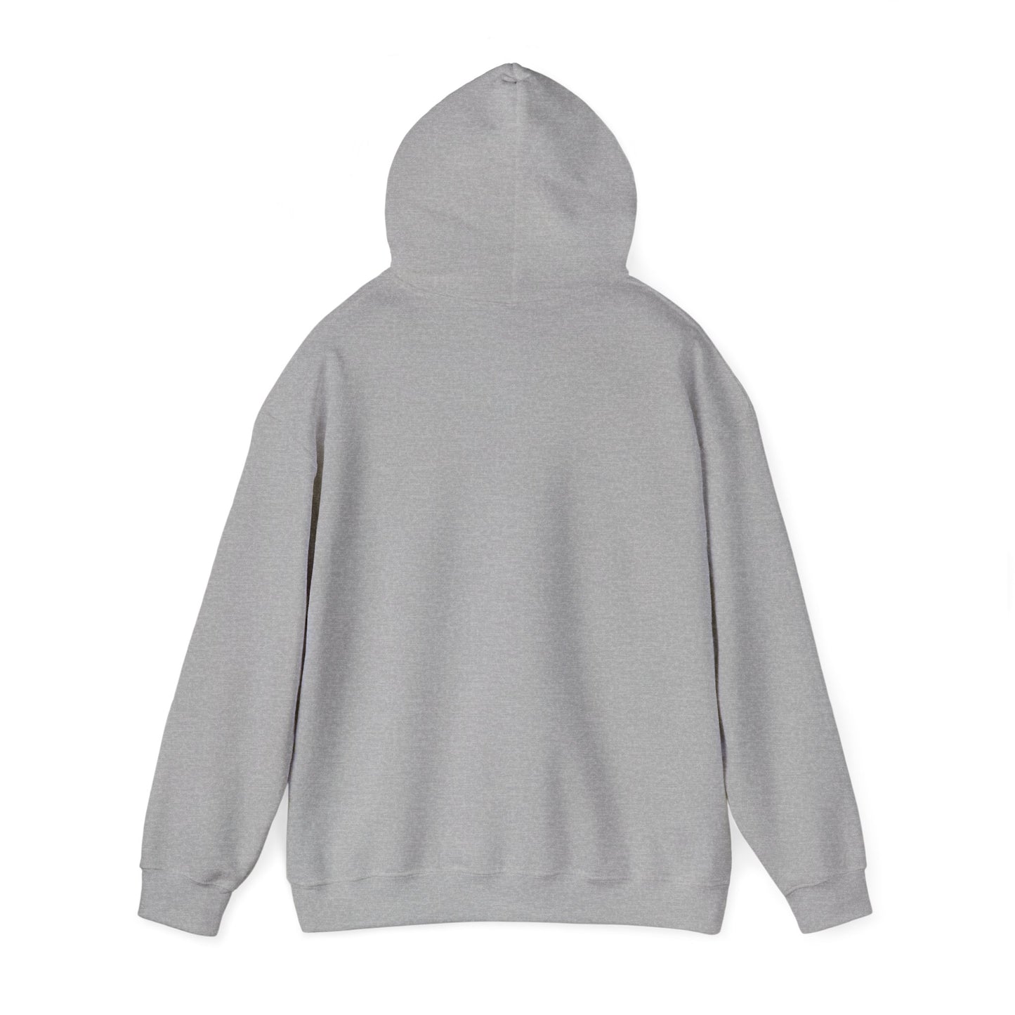 Lancaster Football Hoodie — Vintage 'Est. 1919' Pullover